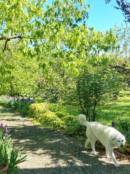 Il nostro giardino