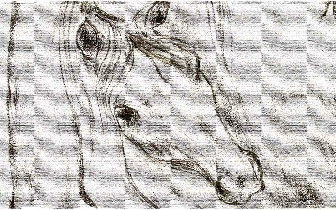 racconti fantasy online