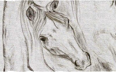 Racconti fantasy online! Terzo e quarto capitolo