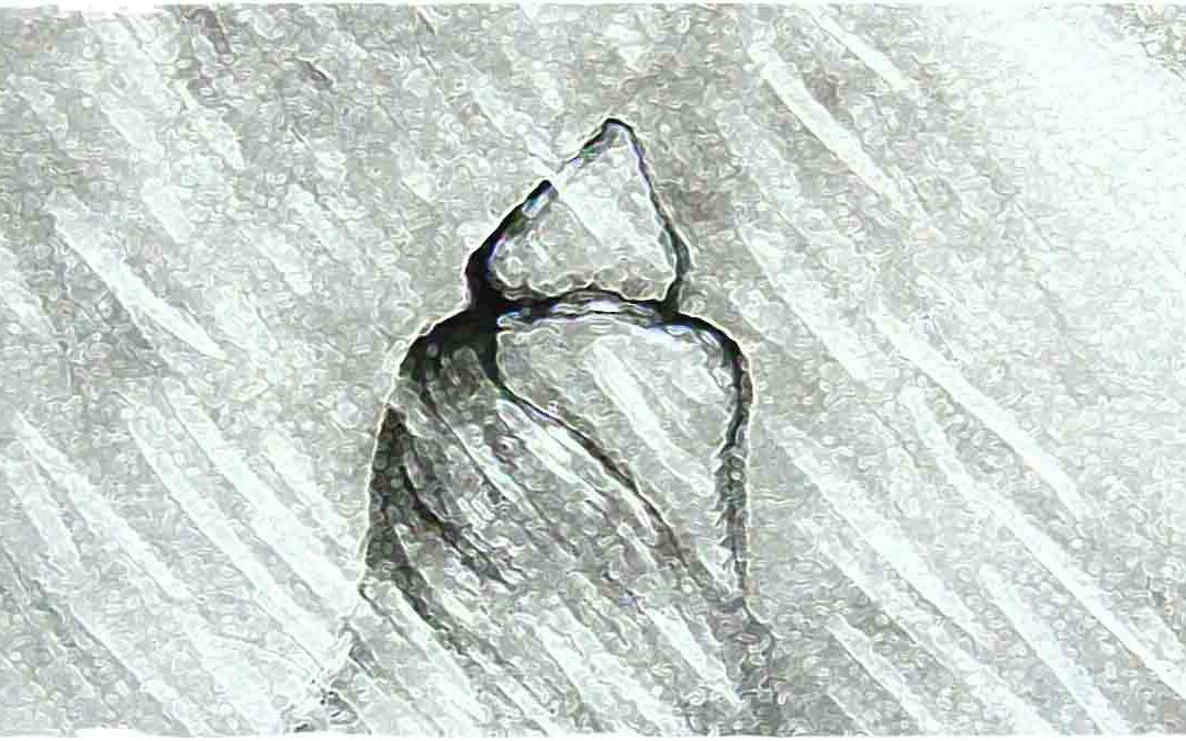 Romanzi fantasy online Un quarto di luna