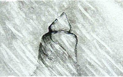 Romanzi fantasy online Un quarto di luna