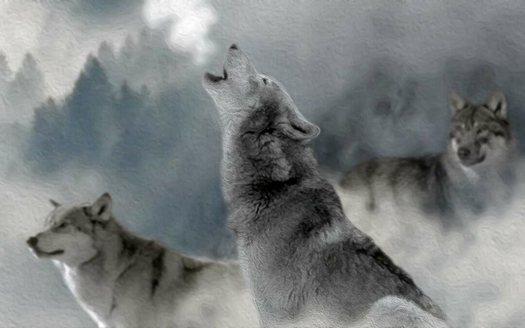 leggere online libri gratis