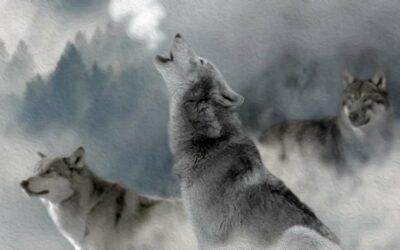 Leggere online libri inediti – Un Quarto di Luna