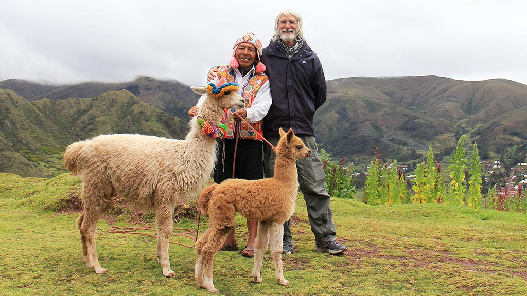 in viaggio sulle ande, produttore importatore ed allevatore di alpaca