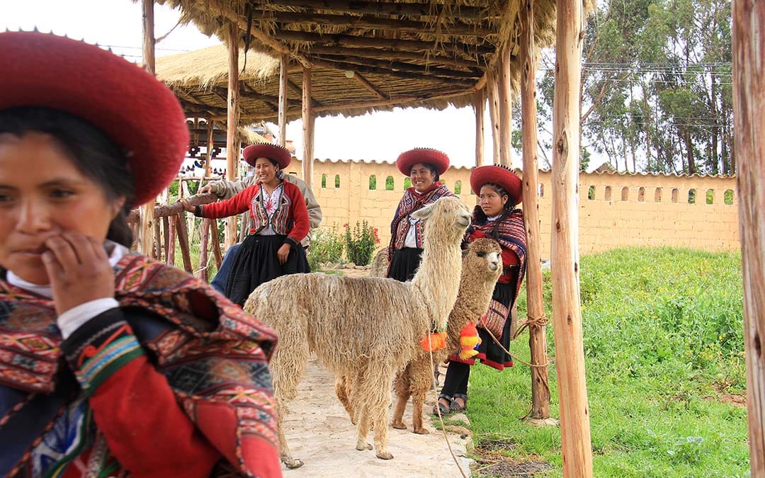 Tessuti etnici di lana di alpaca