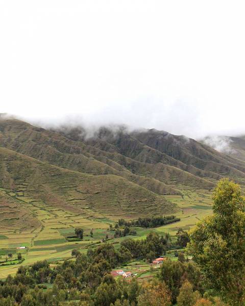 alpaca sostentamento economico popolo peruviano
