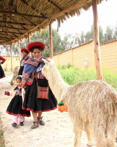 lana di alpaca LaMamita