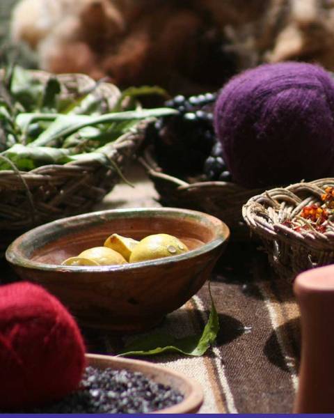 colori vegetali - chi siamo LAMAMITA..