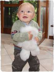 achille cardigan 3