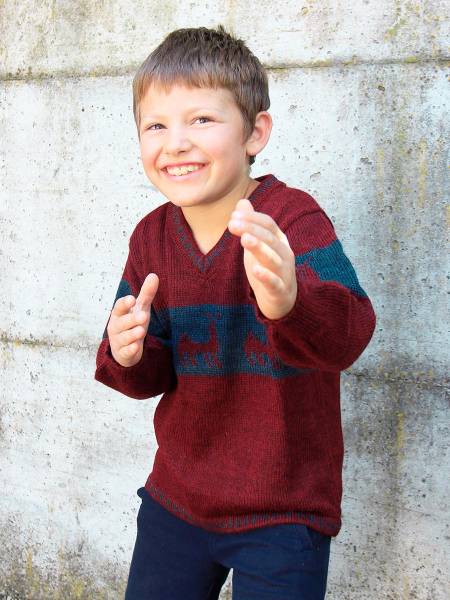 Pullover di alpaca Attila