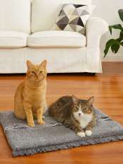 Lit pour chat pluto.