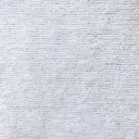 bianco cod.1