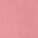 rosa antico cod.2