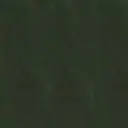 verde scuro - cod.10